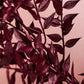 Burgundy Ruscus Branch